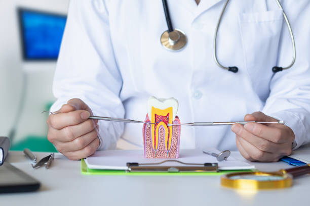 Best Emergency Tooth Extraction in Nevada City, CA